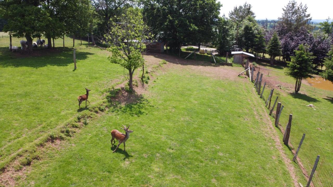 Brochepierre 28 Pers- Vue Exceptionnelle - Malmedy Vila Exterior foto